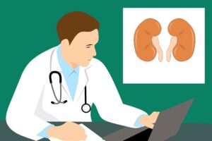 kidney-g52a45bbd7_1920